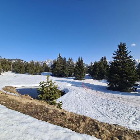 Appartement Au Pied Des Pistes Et Du Park Nordique Шамрусс Экстерьер фото